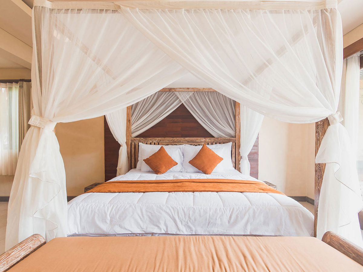 Maecenas ullamcorper